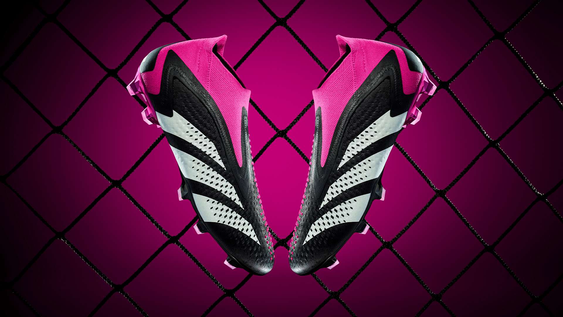 也为球队添 也为球队添