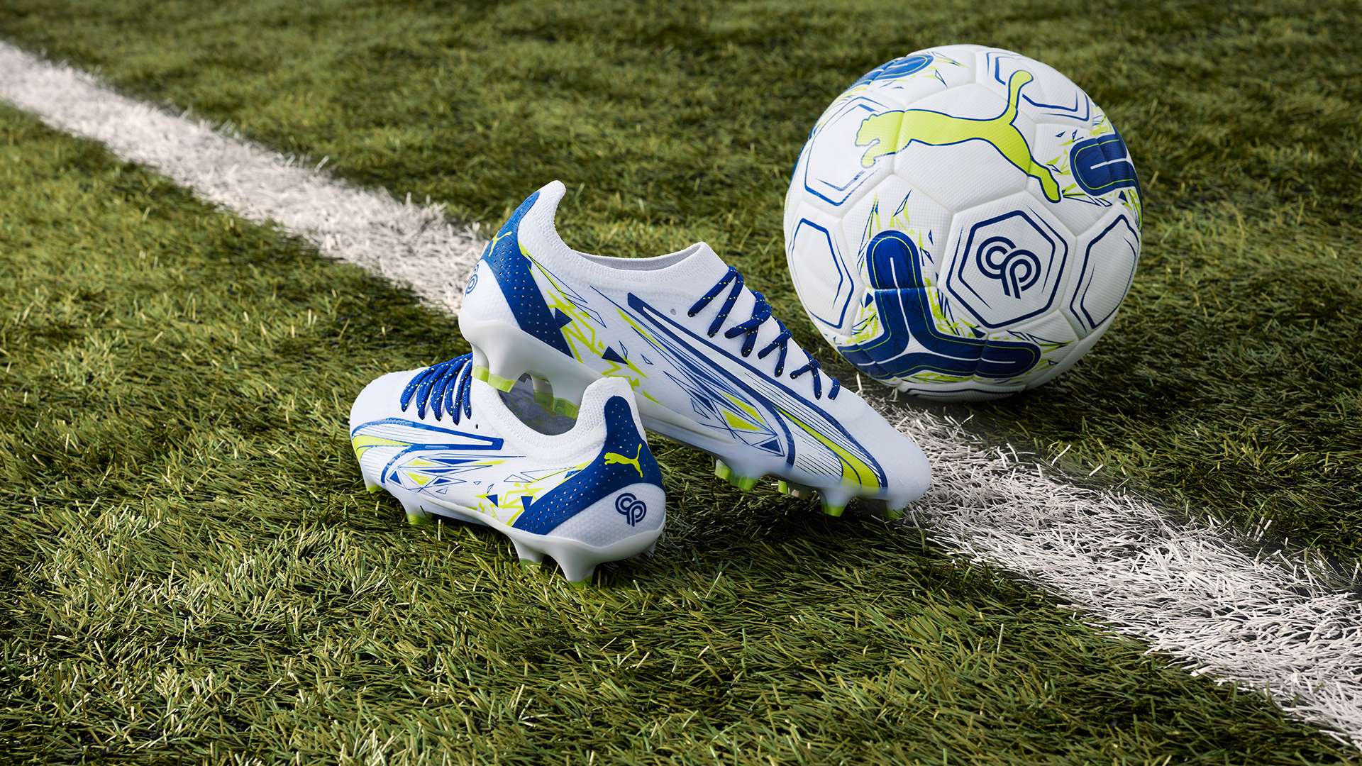 情绪欢呼着 情绪欢呼着